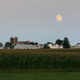 Illustration for article titled 21 Super Photos Of The Super Moon